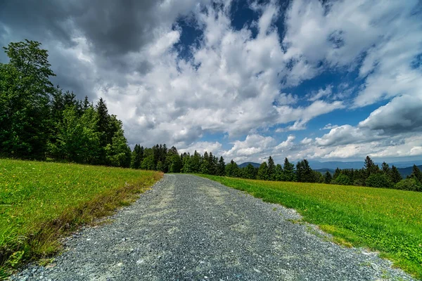 Schotterstraße Durch Wald Schöne Landschaft Gebirge Mit Almwiese — Stockfoto