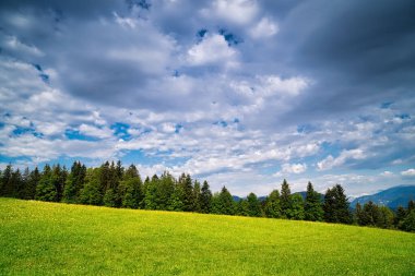 Yaz çayırı, ağaçlı ve güzel bulutlu manzara.