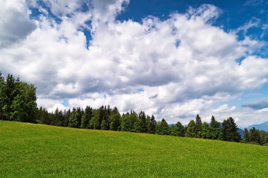 Yaz çayırı, ağaçlı ve güzel bulutlu manzara.