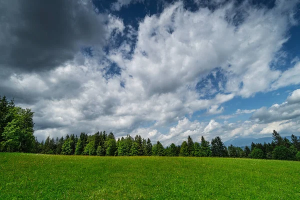 Sommerwiese Landschaft Mit Bäumen Und Schönen Wolken — Stockfoto