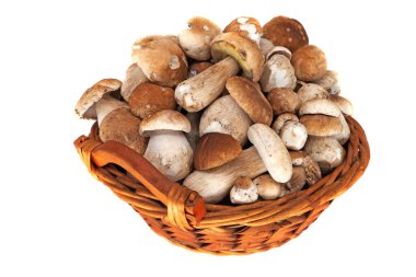 Porcini Mantarı Sepette, beyaz arkaplanda izole edilmiş yenilebilir mantarı kapat
