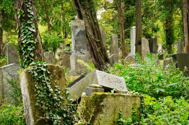 Yahudi Mezarlığı, Viyana 'daki Zentralfriedhof' ta tarihi mezarlar.