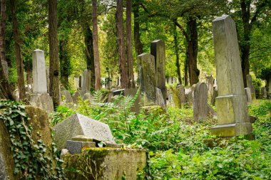 Yahudi Mezarlığı, Viyana 'daki Zentralfriedhof' ta tarihi mezarlar.