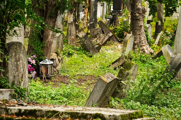 Joodse Begraafplaats Historische Graven Bij Zentralfriedhof Wenen — Stockfoto