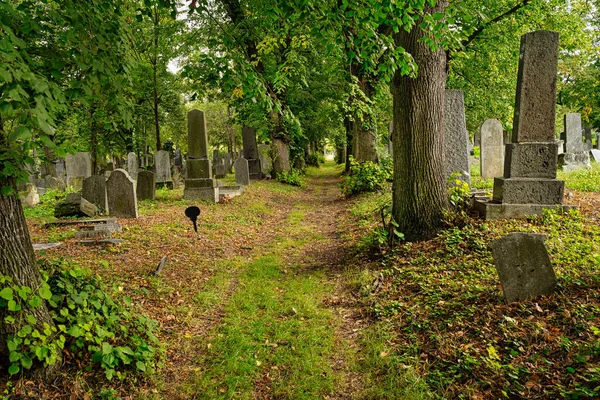 Jewish Cemetery Historic Graves Zentralfriedhof Відні — стокове фото