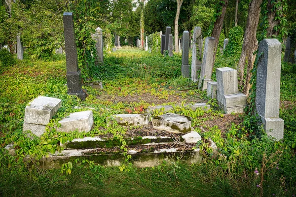 Joodse Begraafplaats Historische Graven Bij Zentralfriedhof Wenen — Stockfoto