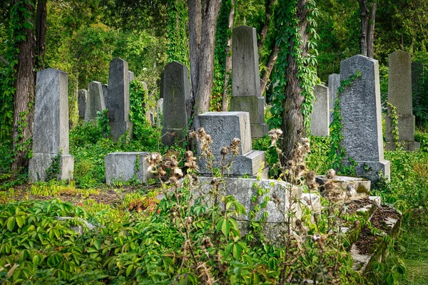 Cmentarz Żydowski Historyczne Groby Zentralfriedhof Wiedniu — Zdjęcie stockowe