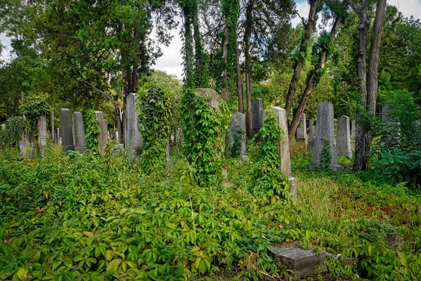 犹太人公墓 位于维也纳Zentralfriedhof的历史性坟墓 — 图库照片