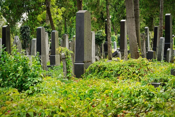 Cemitério Judaico Sepulturas Históricas Zentralfriedhof Viena — Fotografia de Stock