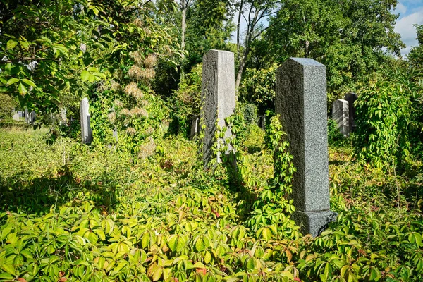 Judisk Kyrkogård Historiska Gravar Vid Zentralfriedhof Wien — Stockfoto