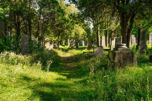 Juutalainen Hautausmaa Historialliset Haudat Zentralfriedhofissa Wienissä — kuvapankkivalokuva