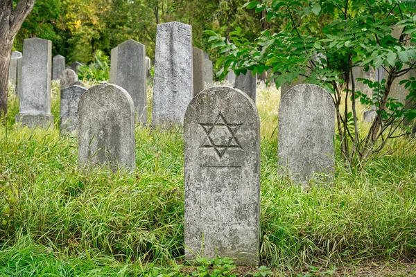 Cemitério Judaico Sepulturas Históricas Zentralfriedhof Viena — Fotografia de Stock