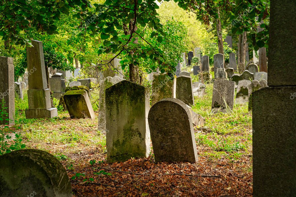 Cementerio judío, tumbas históricas en Zentralfriedhof en Viena 2022