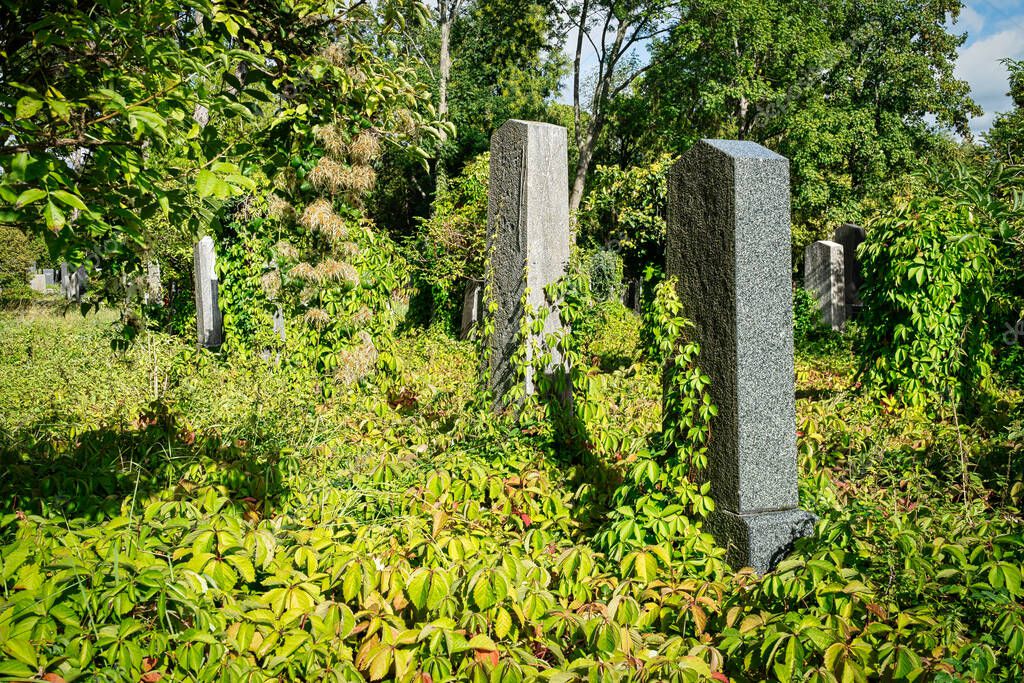 Cementerio judío, tumbas históricas en Zentralfriedhof en Viena 2022