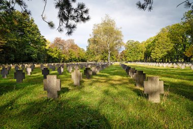 Viyana 'daki Zentralfriedhof' da İkinci Dünya Savaşı mezarlığı.