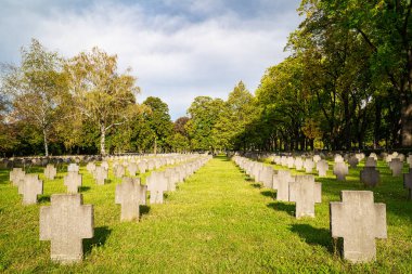Viyana 'daki Zentralfriedhof' da İkinci Dünya Savaşı mezarlığı.