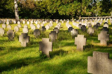 Viyana 'daki Zentralfriedhof' da İkinci Dünya Savaşı mezarlığı.