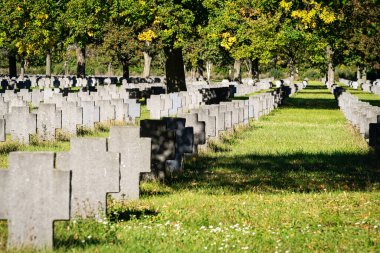 Viyana 'daki Zentralfriedhof' da İkinci Dünya Savaşı mezarlığı.