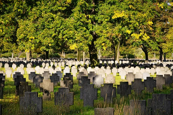 Tombe Guerre Cimetière Seconde Guerre Mondiale Zentralfriedhof Vienne — Photo