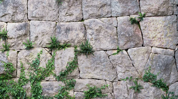 beautiful wall of gray stone