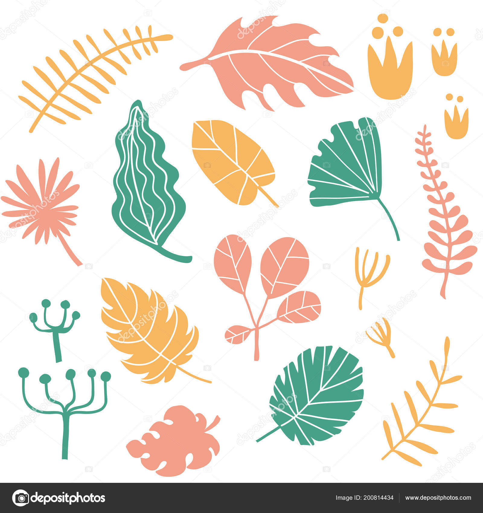 Tropical Plants Leaves Set Vector Collection Hand Drawn Tropical Flowers Tropical Plants Leaves Set Vector Collection Hand Drawn Tropical Flowers