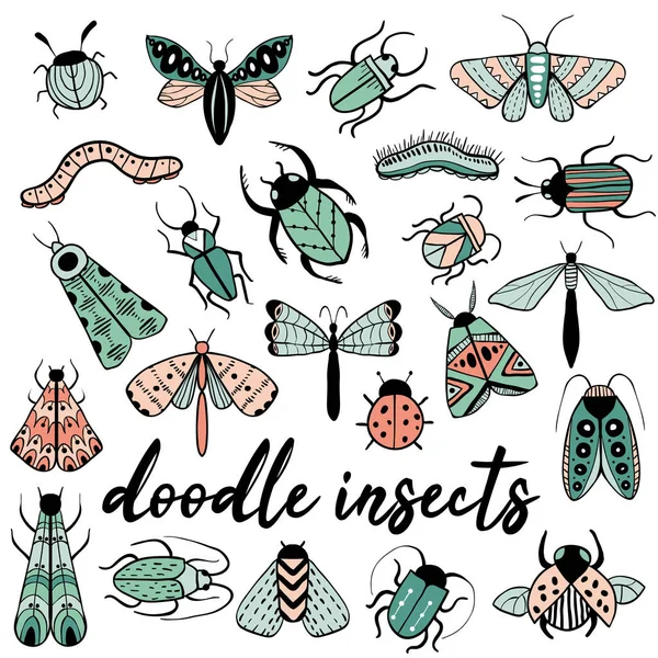 Big colorful hand drawn doodle set with insects — Stock Vector