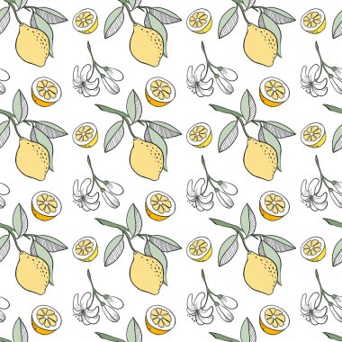 Kabataslak limon seamless modeli