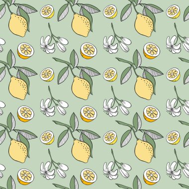 Kabataslak limon seamless modeli