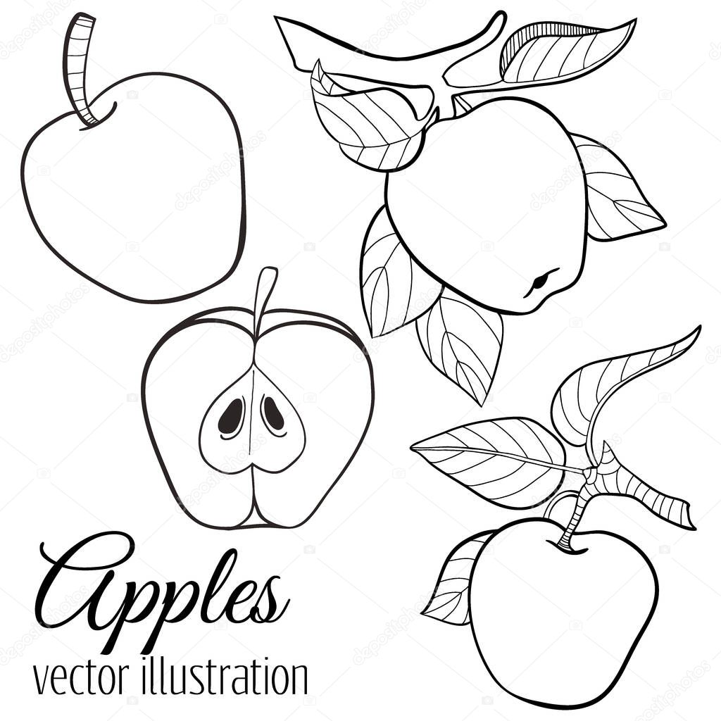 Vector line apple set