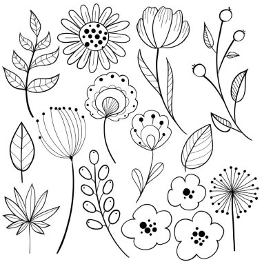 Çiçek grafik tasarım