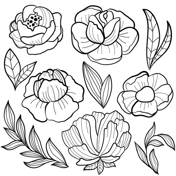 Rosas flor ilustración — Vector de stock