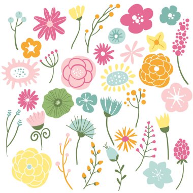 çiçek açan kır çiçekleri