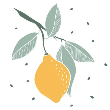 Limon doodle çizim tarzı illüstrasyon