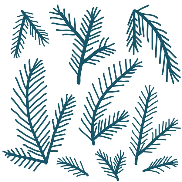 Doodle Pine gałęzie ręcznie rysowane zestaw. — Wektor stockowy