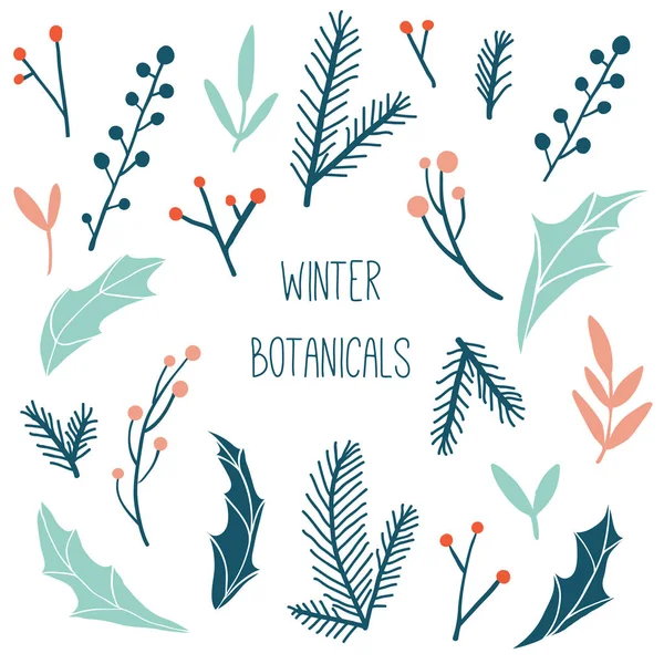 Flora de inverno: ramos, folhas e bagas — Vetor de Stock