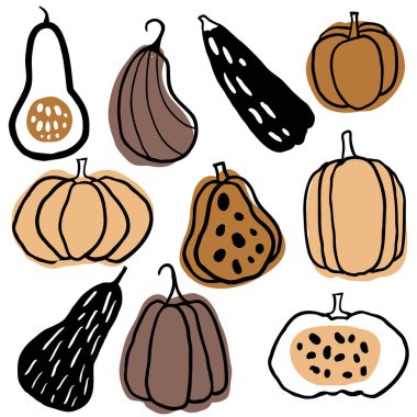 El çizilmiş kabak seti 