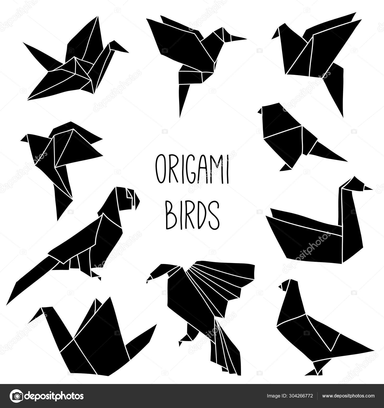 desenho vetorial simples desenhado à mão com contorno preto. aves