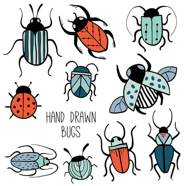 Conjunto de insetos desenhados à mão — Vetor de Stock