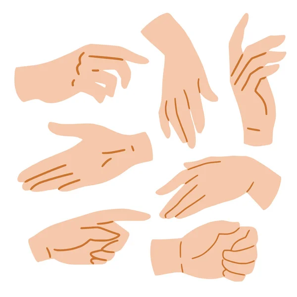 Hands set on white background — Stock Vector