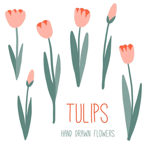 Roze tulpen set. Grafisch ontwerp in de lente of zomer — Stockvector