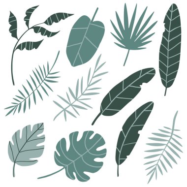 Tropikal çiçek koleksiyonu