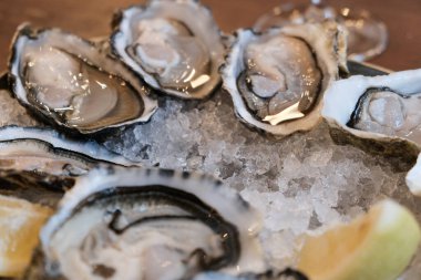 Taze istiridyeler yakın çekim üst manzara, barda yemeye hazır.
