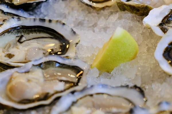 Ostras frescas en hielo con limón, listas para comer en el bar — Foto de Stock