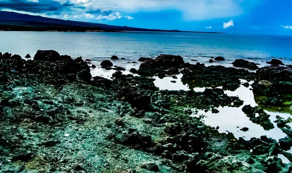 Yalnız Palm Beach Hawaii Big Island Kohala Sahili Champagne Ponds - Stok İmaj