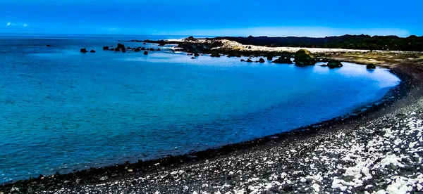 Yalnız Palm Beach Hawaii Big Island Kohala Sahili Champagne Ponds Telifsiz Stok Fotoğraflar