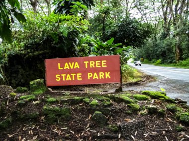 Pahoa Kilauea Volkanı son 2018 lav akışı şimdi kapsadığı Hawaii büyük ada güneydoğu kıyısında.