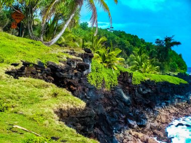 Pahoa Kilauea Volkanı son 2018 lav akışı şimdi kapsadığı Hawaii büyük ada güneydoğu kıyısında.
