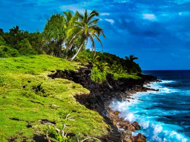 Pahoa Kilauea Volkanı son 2018 lav akışı şimdi kapsadığı Hawaii büyük ada güneydoğu kıyısında.