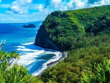 Tropikal kıyı şeridi üzerinde Hawaii büyük ada Pololu Vadisi
