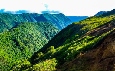 Tropikal kıyı şeridi üzerinde Hawaii büyük ada Pololu Vadisi